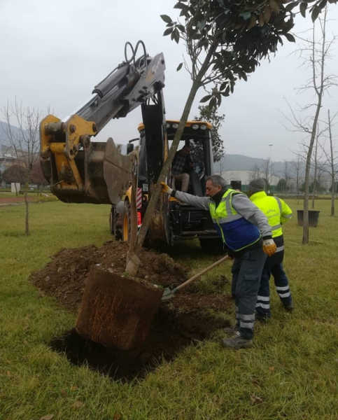 2.-yazi-icin-buyuksehir-par-bahceler-3-bin-fidan-dikilecek.jpg