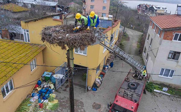 4.-yazi-icin-eskikaraagac-leylek-yuvalari-temizleniyor.jpg