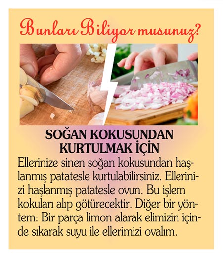 bunlar-003.jpg