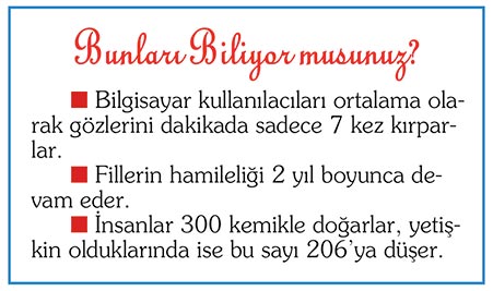 bunlar-008.jpg