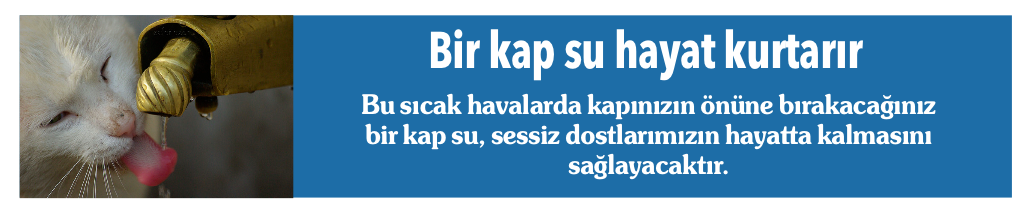 ekran-resmi-2017-07-21-19.11.10.png