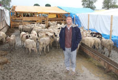 Kurbanlıklar çamur içinde kaldı