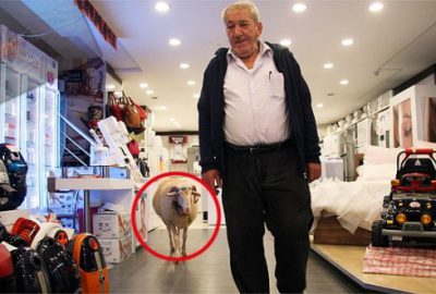 Kesmekten vazgeçti, alışverişe bile beraber gidiyorlar