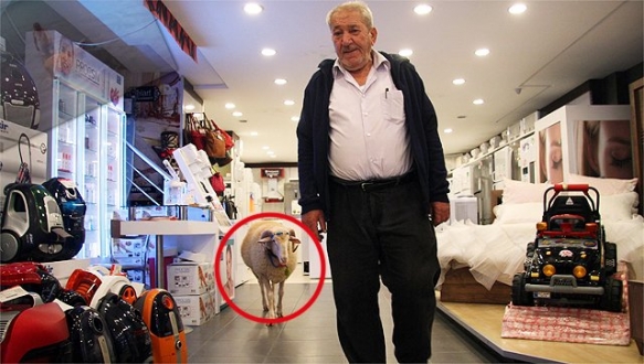 Kesmekten vazgeçti, alışverişe bile beraber gidiyorlar