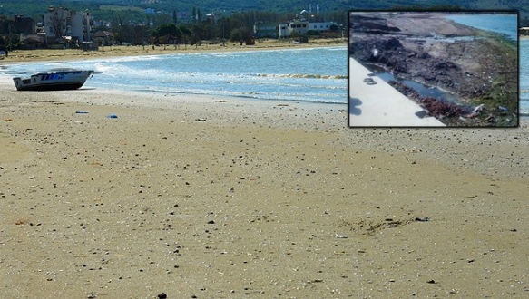 Esence sahilleri artık tertemiz Esence sahilleri artık tertemiz