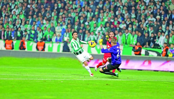 Bursa`nın kralı Timsah! Bursa`nın kralı Timsah!