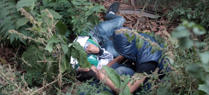 Bursa’da bonzai krizine giren gençlerin dramı Bursa’da bonzai krizine giren gençlerin dramı