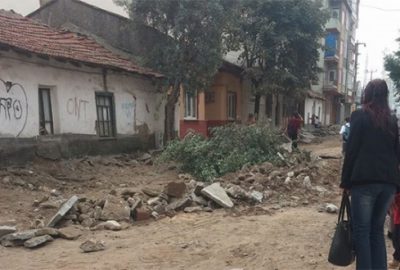 Ağaç katliamına vatandaştan tepki