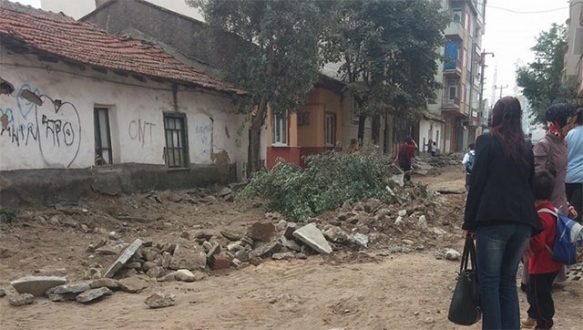 Ağaç katliamına vatandaştan tepki