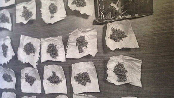 Parkta esrar satışına polis darbesi Parkta esrar satışına polis darbesi