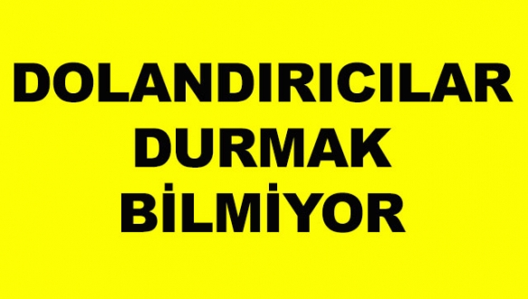 ‘Odun yardımı yapacağız’ diyerek dolandırdılar