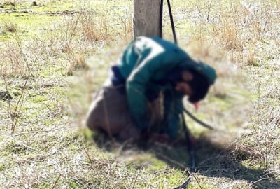 Telefon direğine bağlayıp kurşuna dizdiler