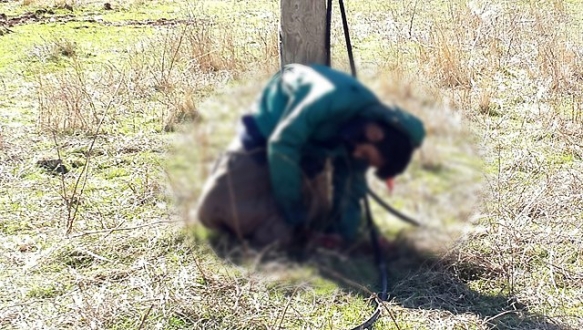 Telefon direğine bağlayıp kurşuna dizdiler