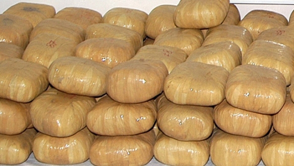 İnegöl Jandarma`sı zehirle savaşta kararlı