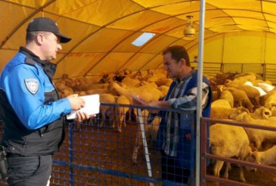 Kurban pazarı denetim altında