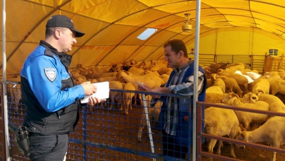 Kurban pazarı denetim altında Kurban pazarı denetim altında
