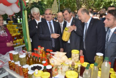 Gedelek`te turşu festivali