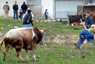 Kurban Bayramı kaçakları