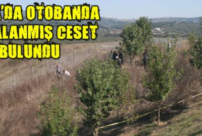 Otobanda parçalanmış ceset bulundu