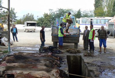 THK eski günleri arıyor