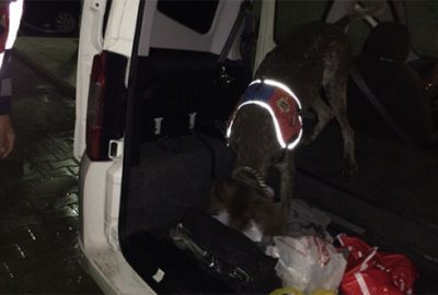 Varis’ten kaçmadı!