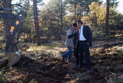 Orman gençleştirme çalışmaları hızlandı