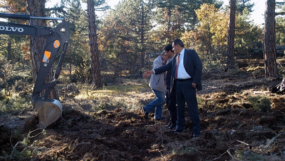 Orman gençleştirme çalışmaları hızlandı