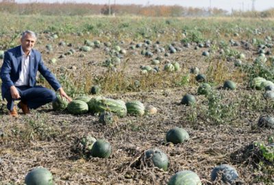 Planlı ekime geçiş sağlanmalı