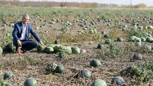 Planlı ekime geçiş sağlanmalı