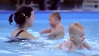 Bebekler havuzda yüzüyor