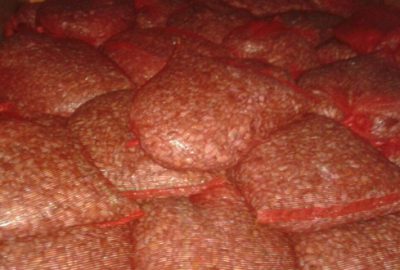 Bursa`da 900 kilo kum midyesi ele geçirildi