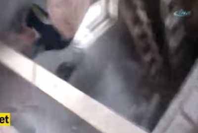 Bindiği dalı kesmek bu olsa gerek