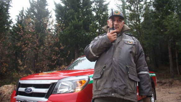 Çam nöbeti başladı Çam nöbeti başladı