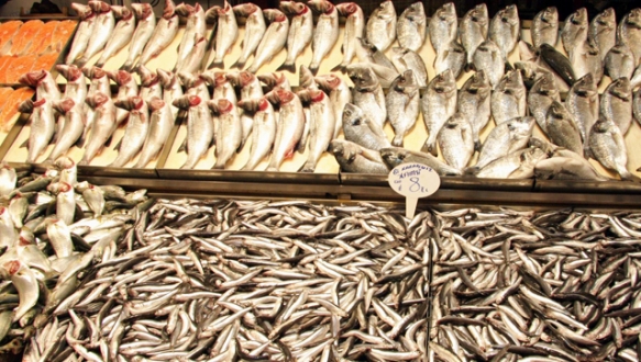 Balık fiyatları uçtu gitti