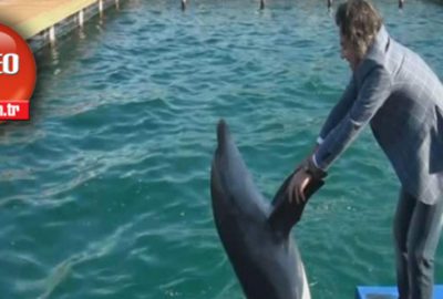 Hiç horon tepen yunus gördünüz mü?