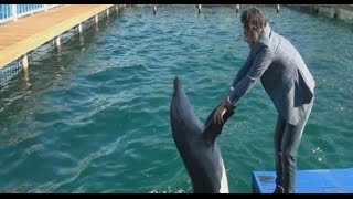 Hiç horon tepen yunus gördünüz mü?