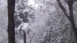 Bursa beyaza büründü