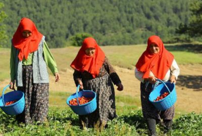 ‘Bursa Ulu Şehir’ fotoğrafları sergisi
