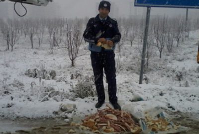 Sokak hayvanları sahipsiz değil