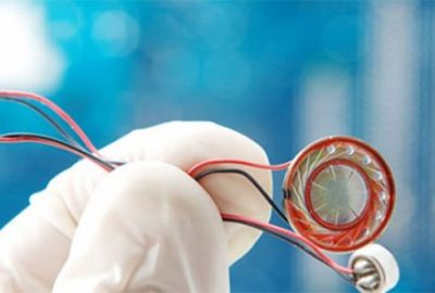 Böcek davasında flaş gelişme