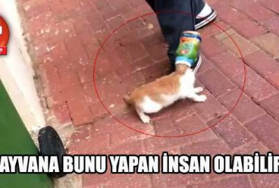 Bunu yapan insan olabilir mi !