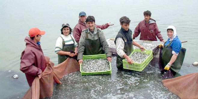 İznik Gölü’nde balık üretimi düştü