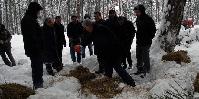 Başkan yem bıraktı