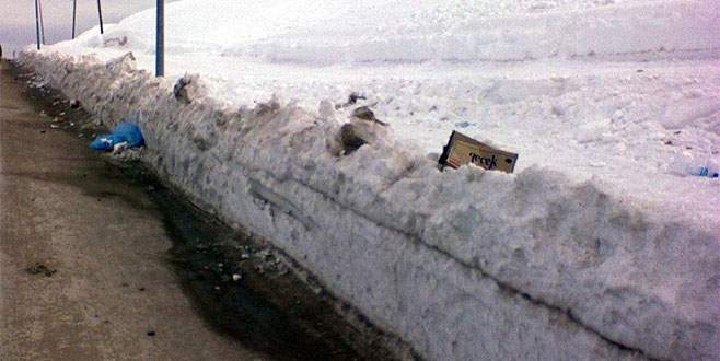 Günübirlik ziyaretçiler Uludağ’ı çöplüğe çeviriyor