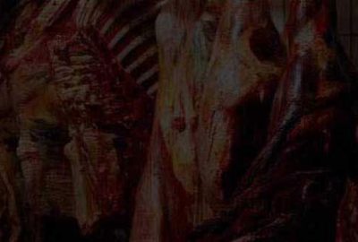 Bursa’da ikinci at eti şoku!