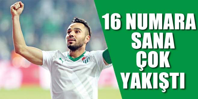 Bir bakışta Volkan Şen