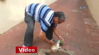 Bunu yapan insan olabilir mi !