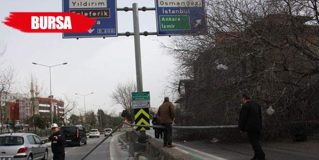 Lodos zincirle bağlanan ağacı bile devirdi