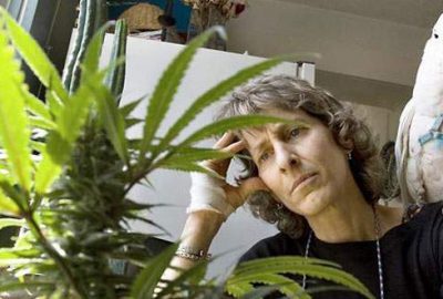 Hastalara esrar serbest olacak