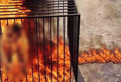 Ürdün’den IŞİD’e idam misillemesi